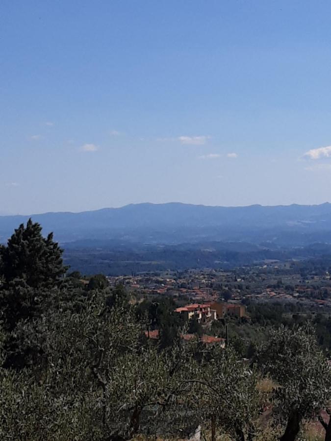 Agrifarm La Corte Apartment Villa Bensi Luaran gambar